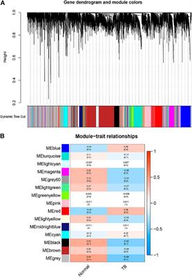 Identification of Hub Genes Associated With Tuberculous Pleurisy by Integrated Bioinformatics Analysis